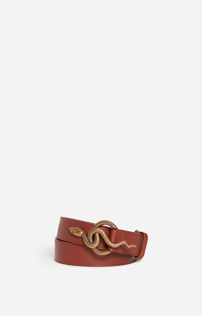 Brown Cl&eacute;o Leather Belt 35Mm, Smooth Leather