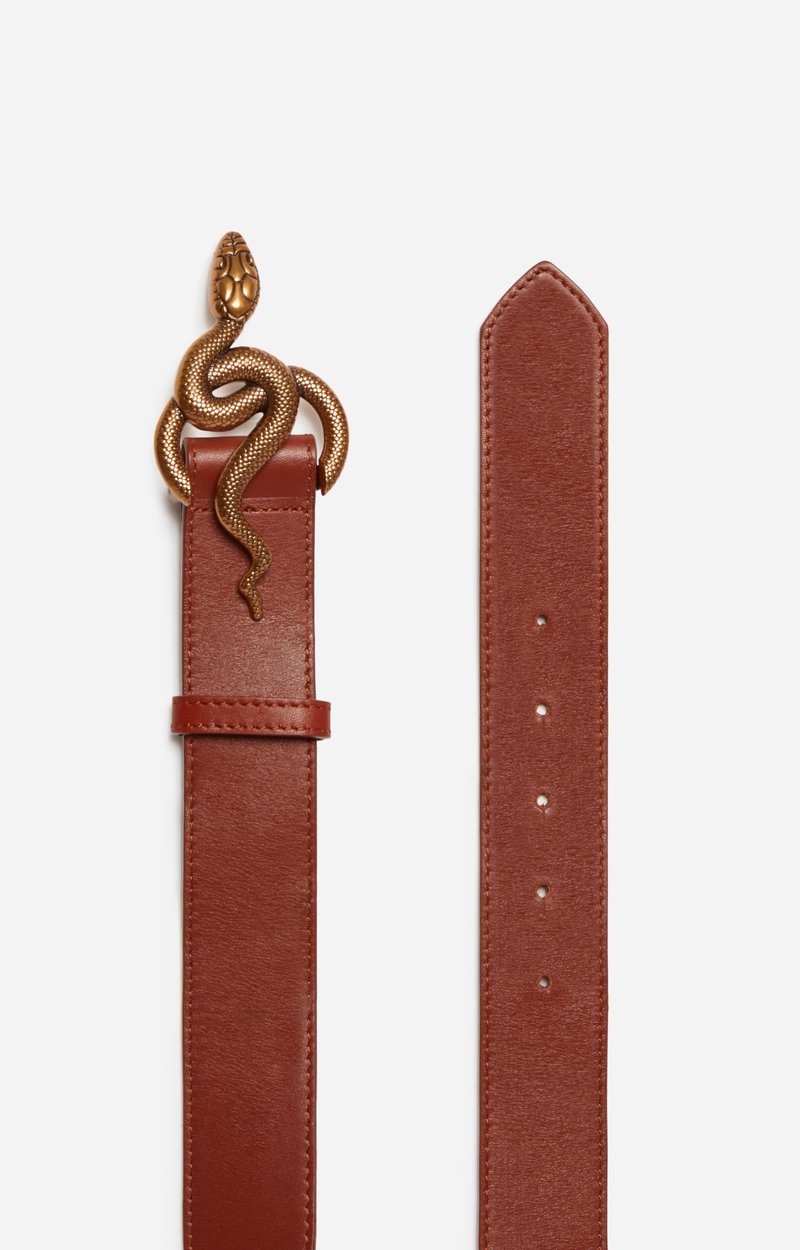 Brown Cl&eacute;o Leather Belt 35Mm Smooth Leather COGNAC Vanessa Bruno