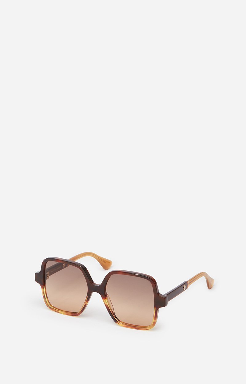 Holly Sunglasses 100% acetate Heather brown scale Vanessa Bruno