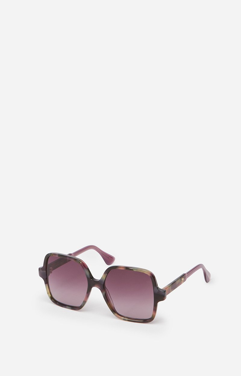 Holly Sunglasses 100% acetate BROWN Vanessa Bruno