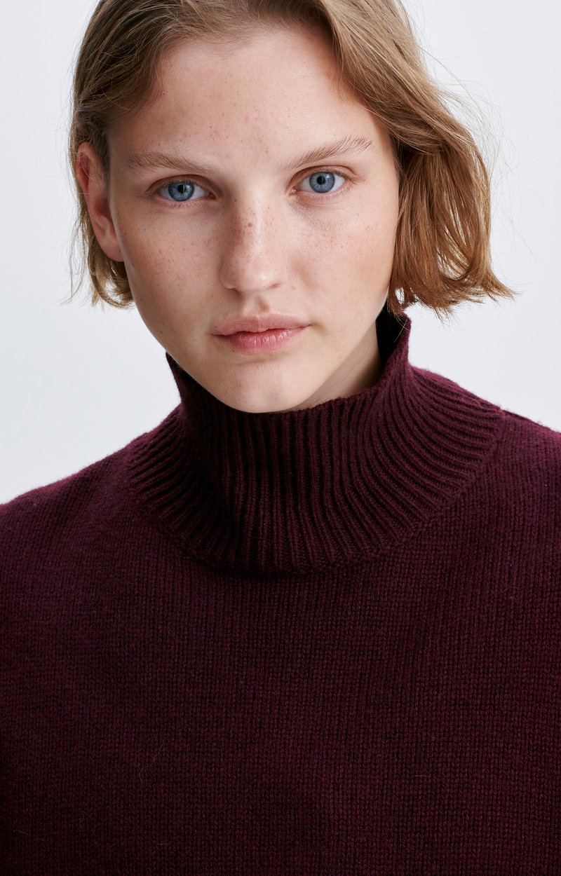 Henzo Jumper Merino-yak roll-neck jumper BURGUNDY Vanessa Bruno